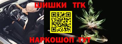 дмт Кингисепп