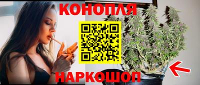 дмт Кингисепп
