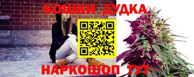 дмт Кингисепп