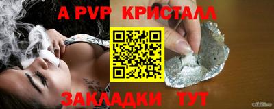 дмт Кингисепп