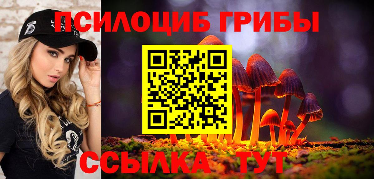 Галлюциногенные грибы Magic Shrooms  Вход с VPN  Галлюциногенные грибы Cubensis  Кызыл 
